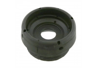 Top Strut Mounting