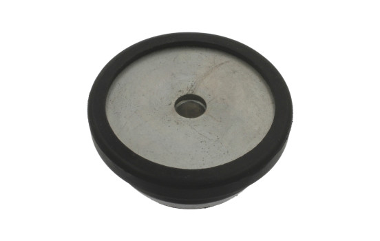 Top Strut Mounting