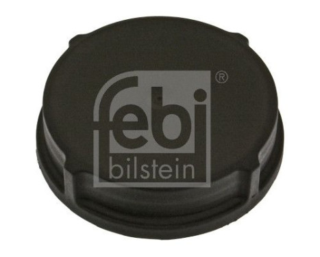 Sealing Cap, expansion tank (power steering), Image 2