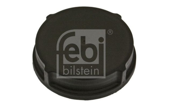 Sealing Cap, expansion tank (power steering), Image 2