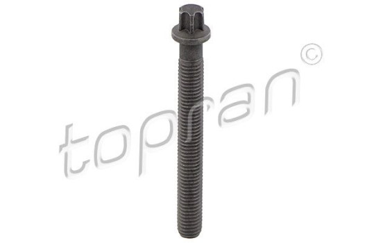 Pulley screw