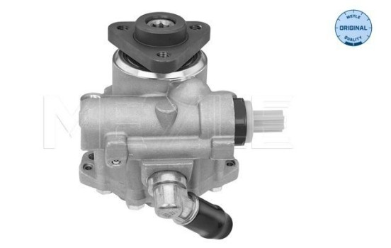 servo pump