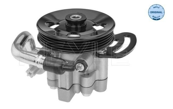 servo pump