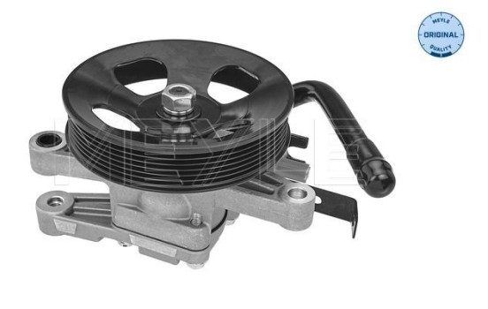 servo pump