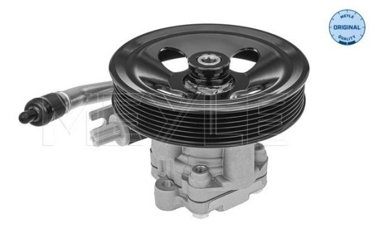 servo pump