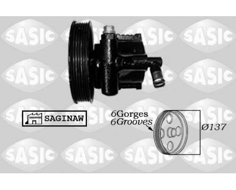 servo pump