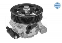 servo pump