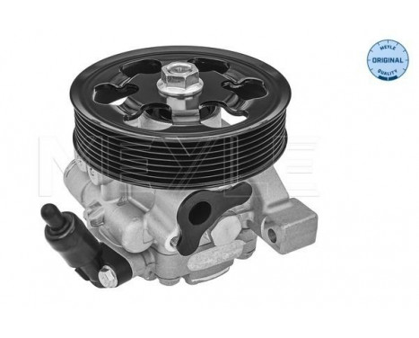 servo pump