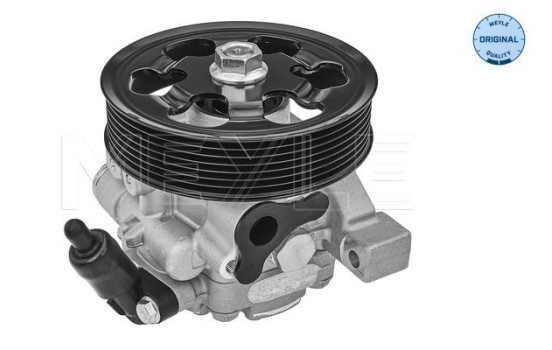 servo pump