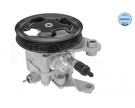 servo pump