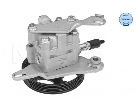 servo pump, Image 2