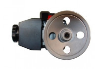 servo pump