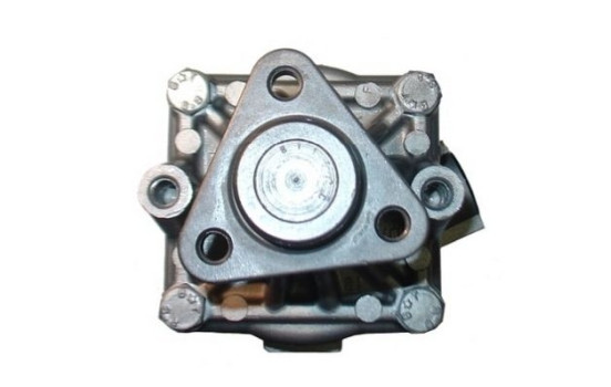 servo pump