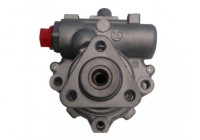 servo pump