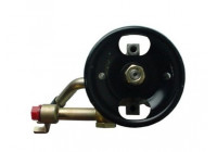 servo pump