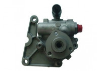 servo pump