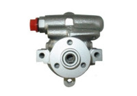 servo pump