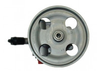 servo pump