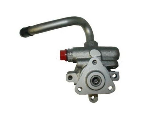 servo pump