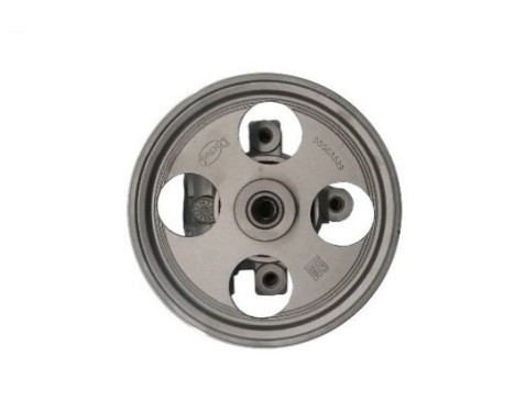 Servo pump