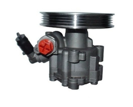 Servo pump, Image 3