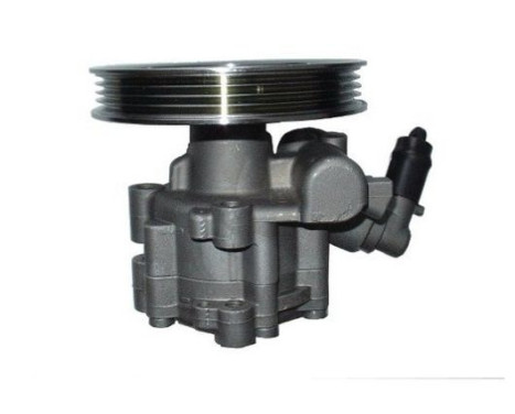 Servo pump, Image 4