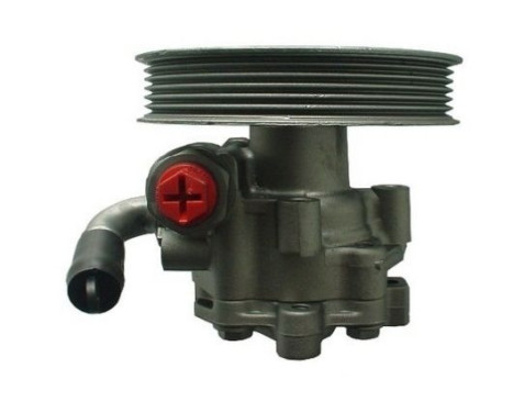 Servo pump, Image 3