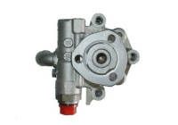 Servo pump