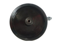 Servo pump