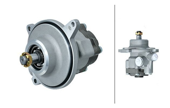 servo pump