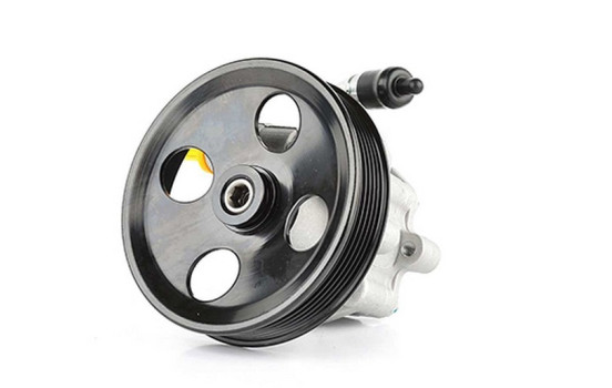 servo pump