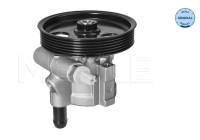 servo pump