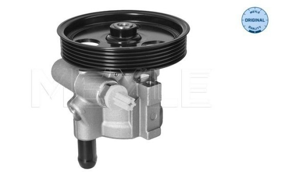 servo pump