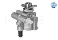 servo pump