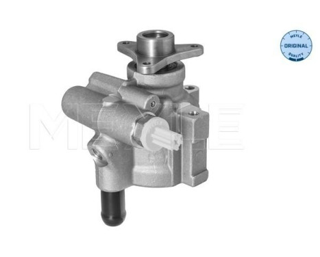servo pump