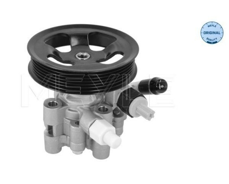 servo pump