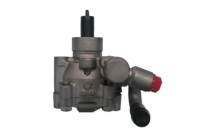 servo pump