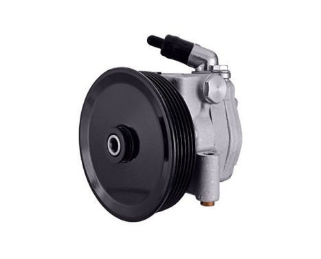 Servo pump