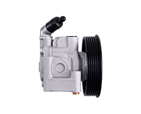 Servo pump, Image 2
