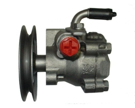 Servo pump