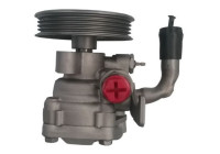 Servo pump