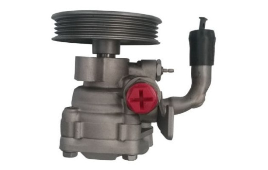 Servo pump