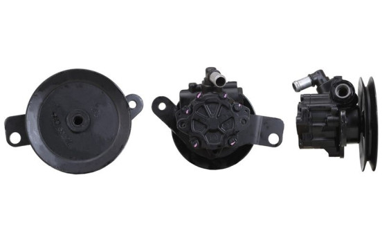 Servo pump