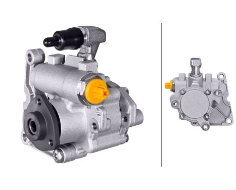 Servo pump