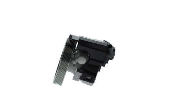 Servo pump, Image 2