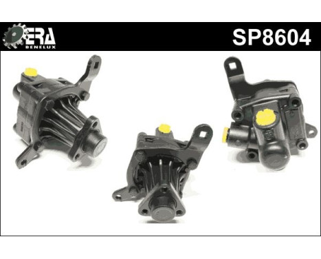 Servo pump