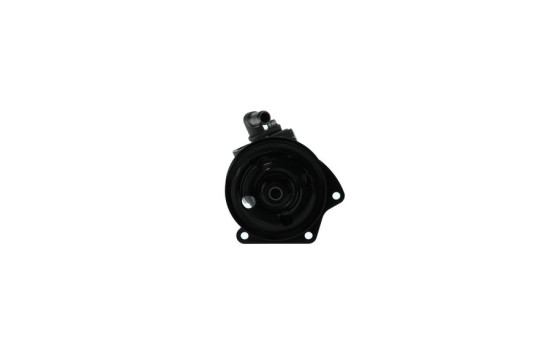 Servo pump