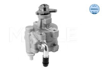 servo pump