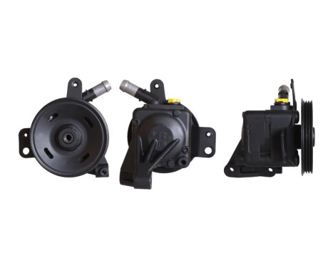 servo pump