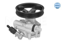 servo pump